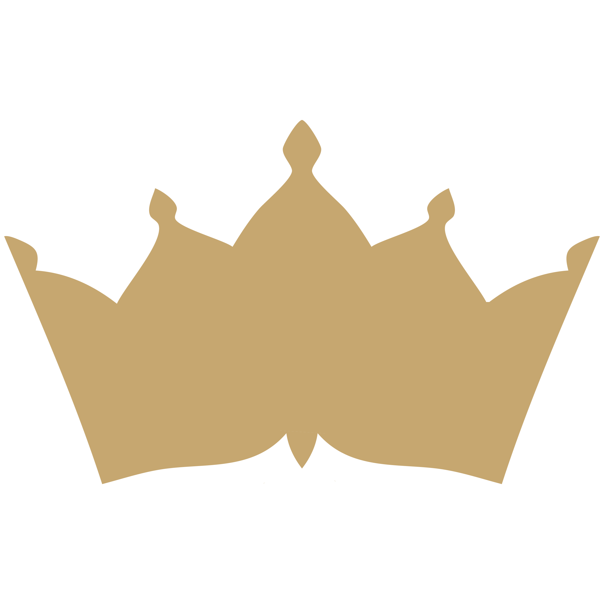 The Regina Resort by Acron Icon